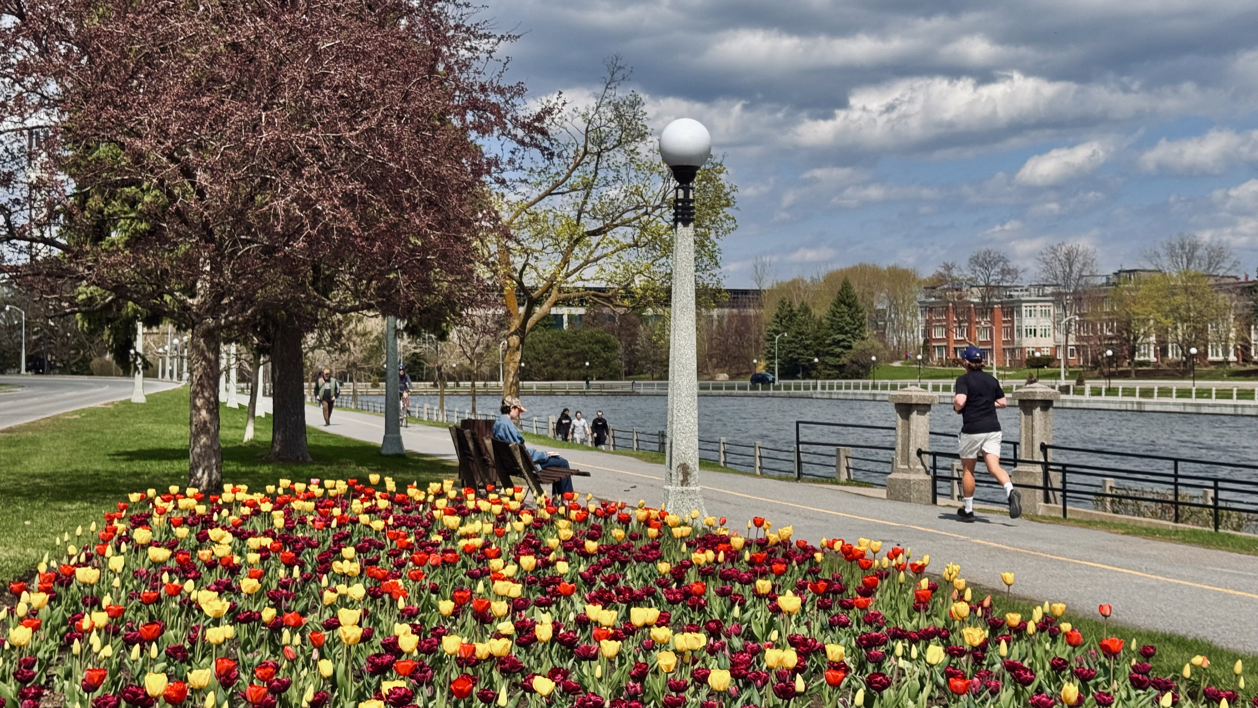 42 fun things to do in Ottawa this weekend | May 8-10